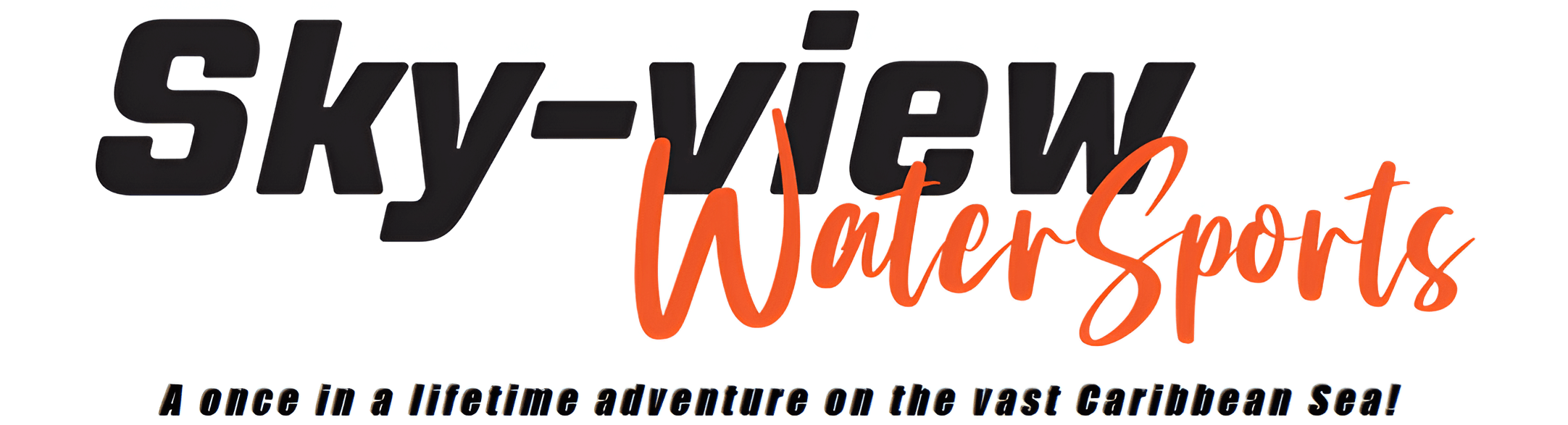 Why Choose Skyview Watersports Aruba